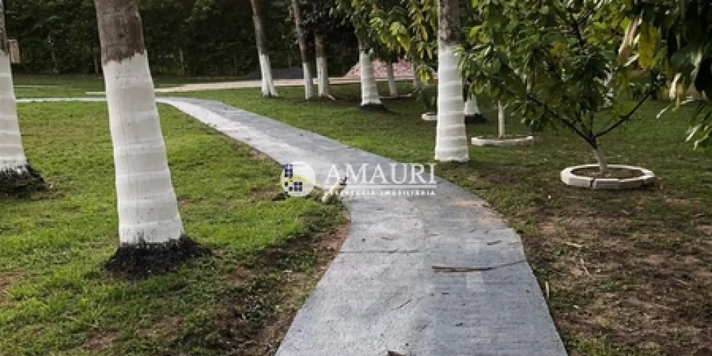 237 - CHÁCARA EM SANTARÉM (1)