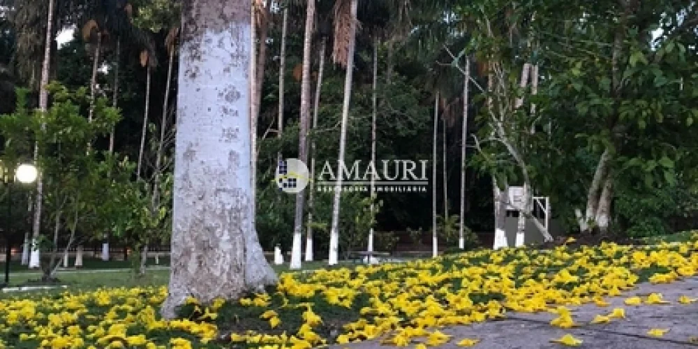 237 - CHÁCARA EM SANTARÉM (11)