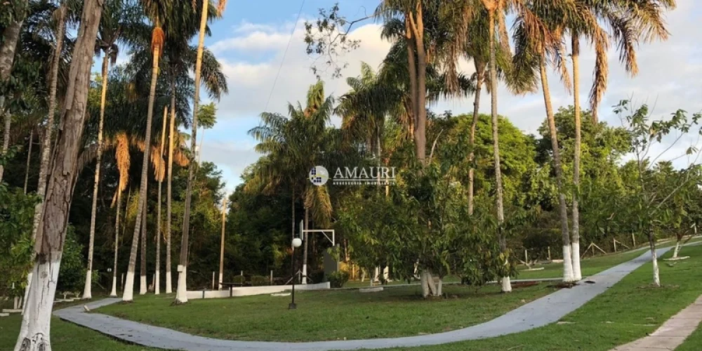 237 - CHÁCARA EM SANTARÉM (2)