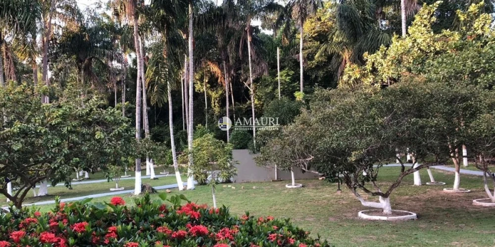 237 - CHÁCARA EM SANTARÉM (5)