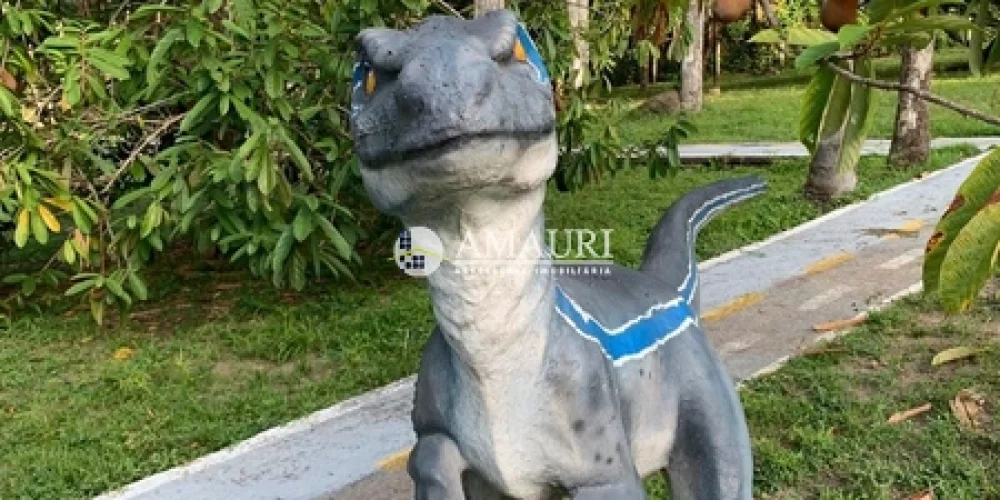 237 - CHÁCARA EM SANTARÉM (9)